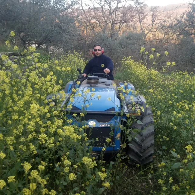 azienda-laffi-olive-oil-01