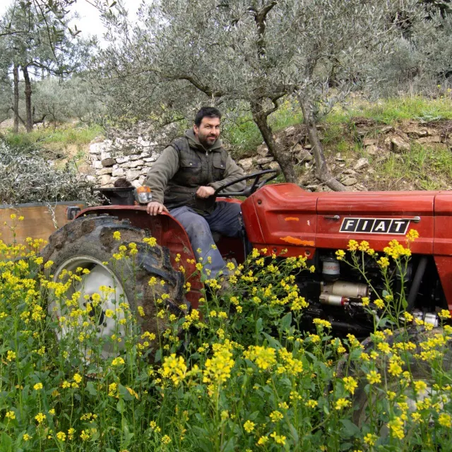 azienda-laffi-olive-oil-03