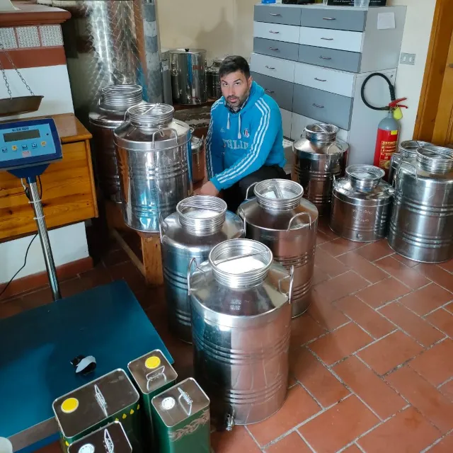 azienda-laffi-olive-oil-07